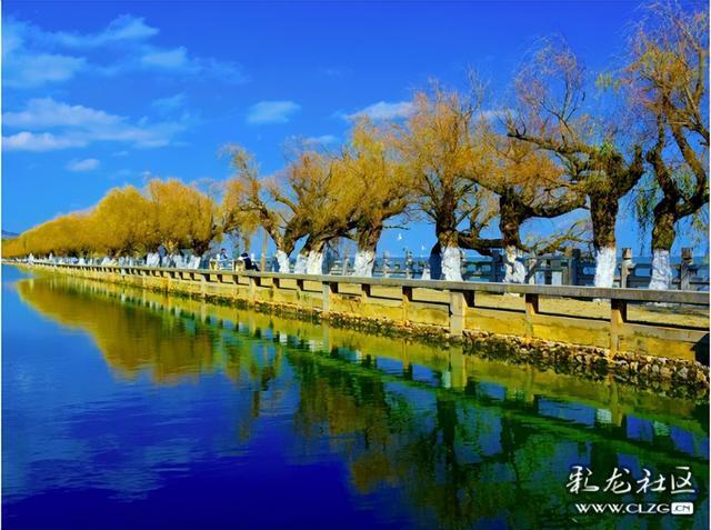 昆明小众人少看滇池喂海鸥的宝藏打卡地