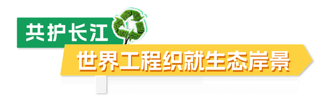 新北，自然是极好的！
