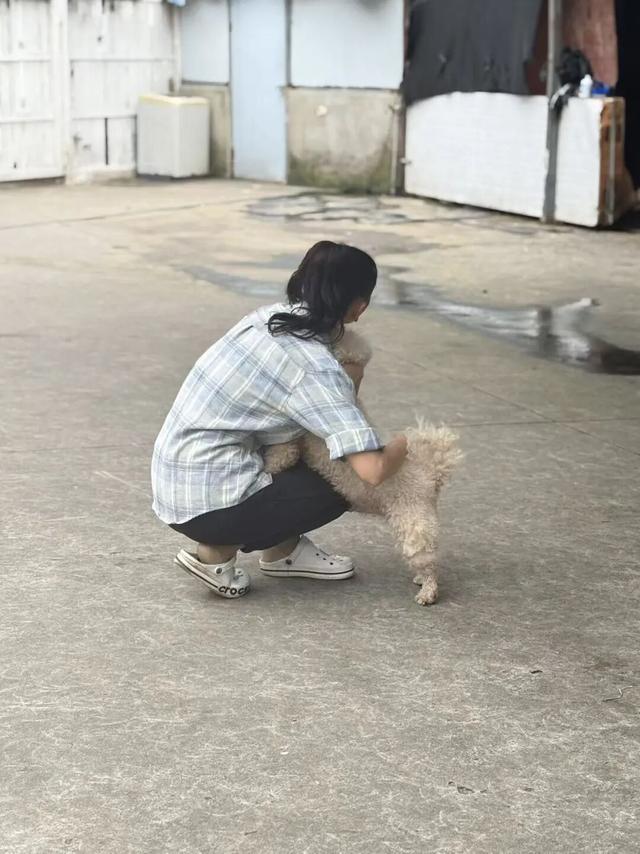 超强视觉风暴！东湖里藏着个「小联合国」
