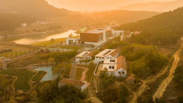 日照一全新打卡地！也太美太治愈了吧！