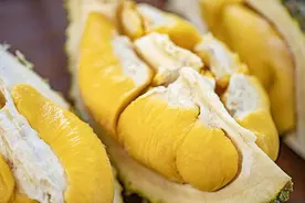 一问医答|吃榴莲可以缓解痛经吗？图片