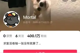 0作品却400多万粉丝，“Mortal”何以成互联网奇观？｜ 睡前聊一会儿图片