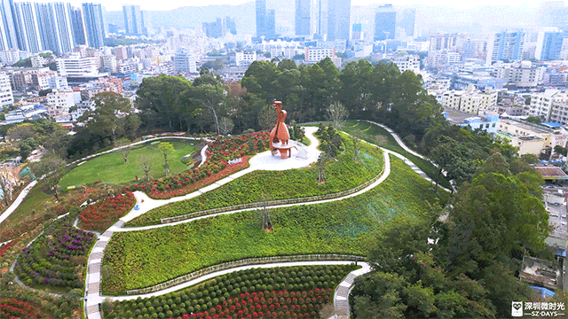 先睹为快！深圳巨型新地标启用，就在明天！