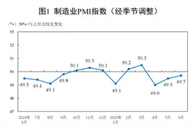 专家解读6月PMI：制造业供需两端均回升，扩大内需仍可加力图片