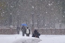 农民日报专访农艺专家：东北降雪对农业生产影响有多大？图片