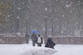 农民日报专访农艺专家：东北降雪对农业生产影响有多大？图片