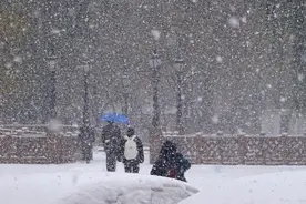 农民日报专访农艺专家：东北降雪对农业生产影响有多大？图片