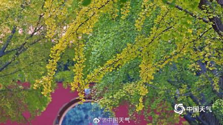 绝美！打卡中山公园秋日视觉盛宴