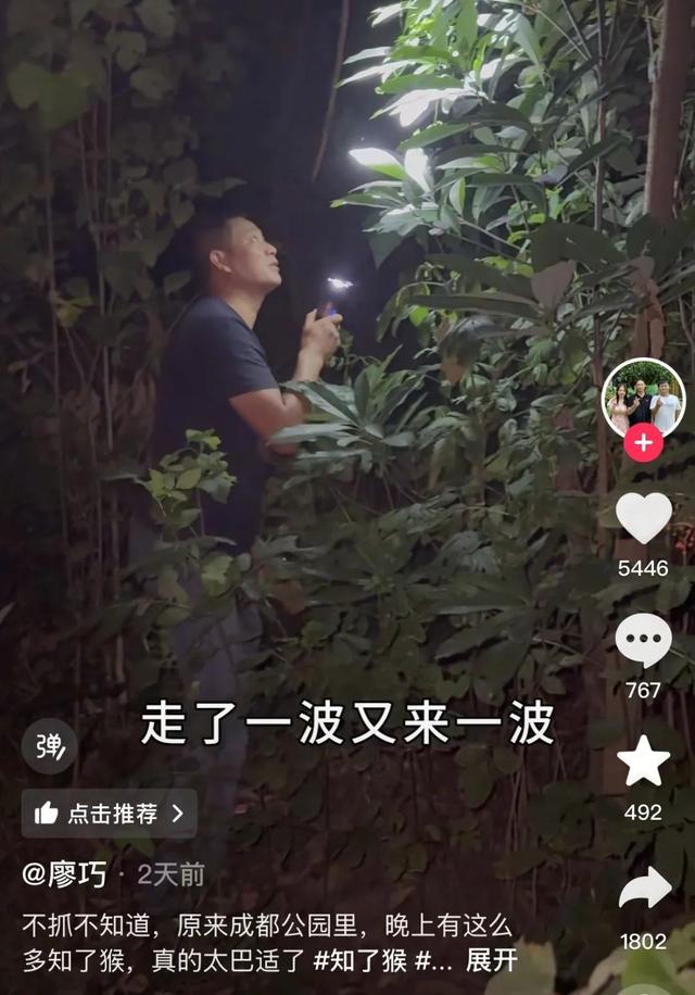 180元/斤的知了猴，快被山东人薅没了