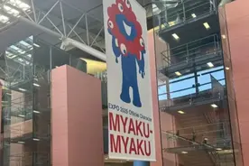 中国驻大阪总领馆提醒：持新护照赴日需重新申请电子签证图片