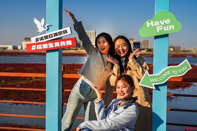 红海滩的“红”从何而来？