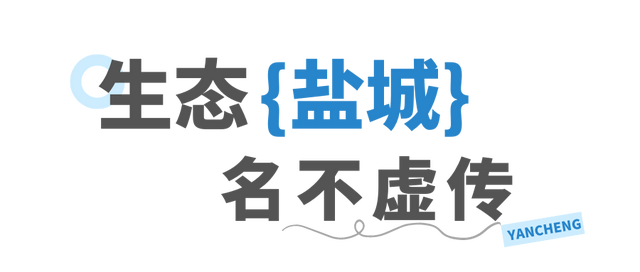 同学，盐城你来对了！