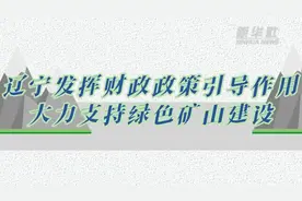 辽宁发挥财政政策引导作用大力支持绿色矿山建设图片
