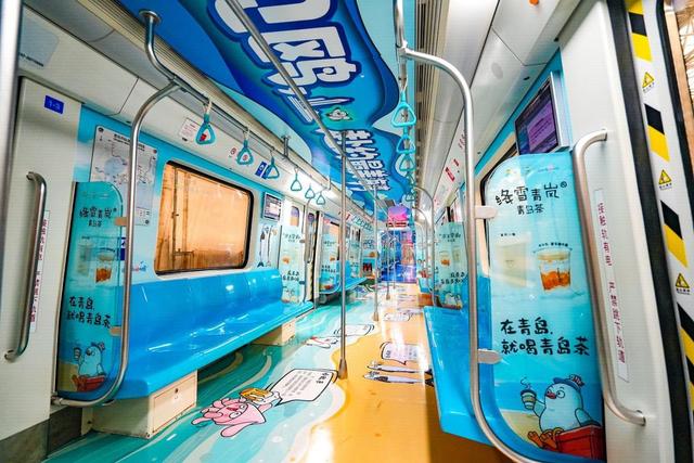 山海冬韵・鸥遇青岛 | “上天入海”场景联动，市南邀您开启鸥遇之旅