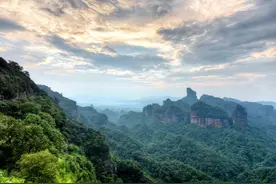 世界首次！广东新发现的物种，竟然“姓陈”？图片