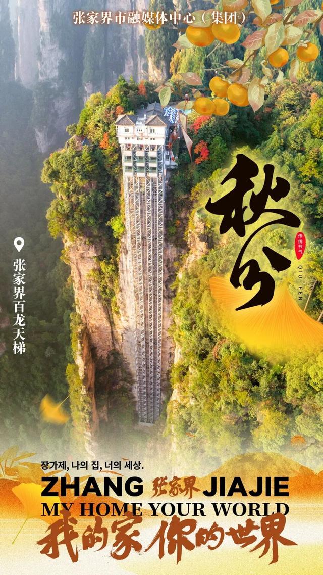 “秋”意浓浓，恰如其“分”
