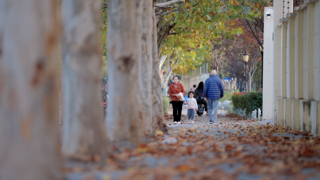 别眨眼！罗店马路秋色，一街一帧画正在限时上映
