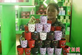 云南普洱多维度创新 助咖啡全产业链提升“咖位”图片