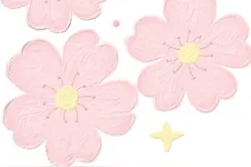 2025新版结婚登记流程来啦～图片