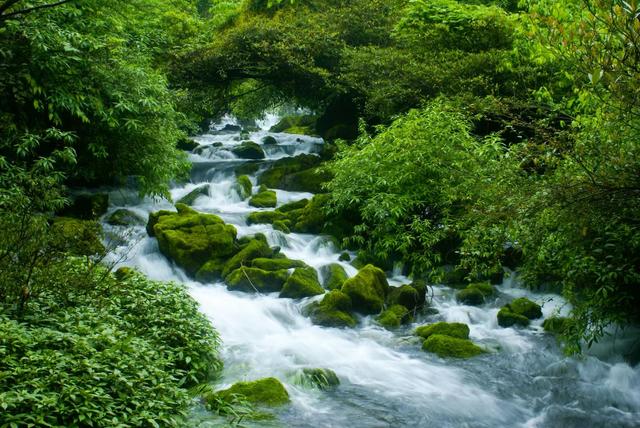 县域游井喷时代下的贵州样本——荔波跻身全国县域文旅融合综合竞争力百强榜五强