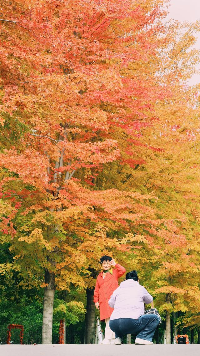 秋日顶流邂逅，在张家楼画美达尼遇见红枫的热烈与粉黛的温柔