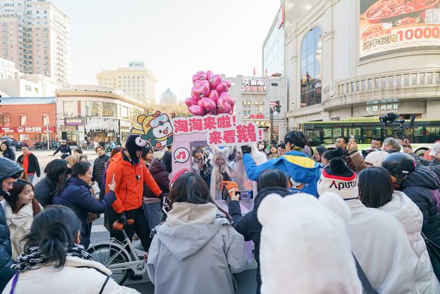 全城偶遇！哈尔滨被“淘学企鹅”小分队占领啦！