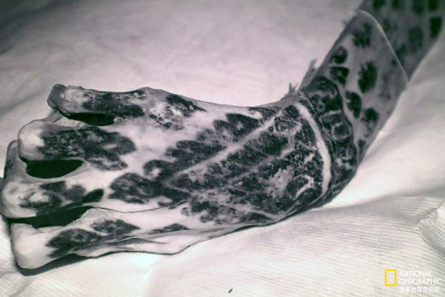 将天空	、山脉、星辰纹进皮肤！5000年前的人在身体上绘制了整个宇宙