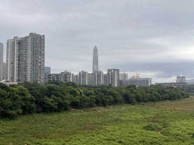 深圳香蜜湖1979风情街，这次真的要说再见了！