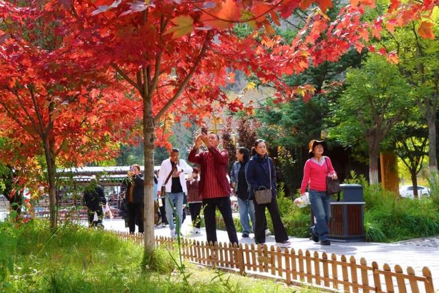 五台山的秋天，太治愈了！