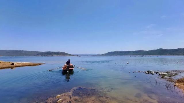 季节限定！洛阳些“海”人少景美，快出发！