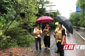 防汛抗灾最前线 荷塘区仙庾镇党员冲在前图片