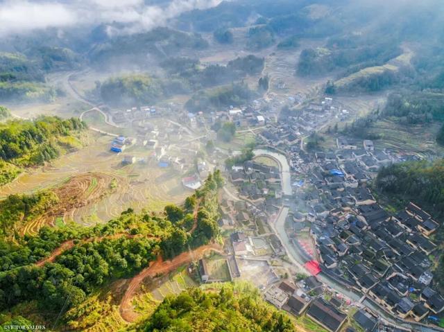 这里的柿子可以摘！代溪镇，距四坪仅12公里，2天1夜烹茶酌酒，玩转非遗！