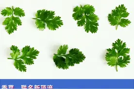 中国最有争议的蔬菜，被品牌抢着联名图片