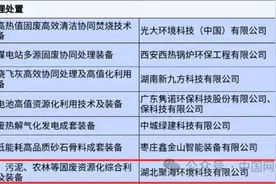 湖北9家企业入选国家重大环保技术装备目录图片