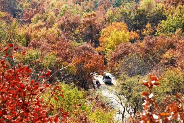 威海这个4A级旅游景区免费！登山看海+千年祈福，初冬盛景不辜负