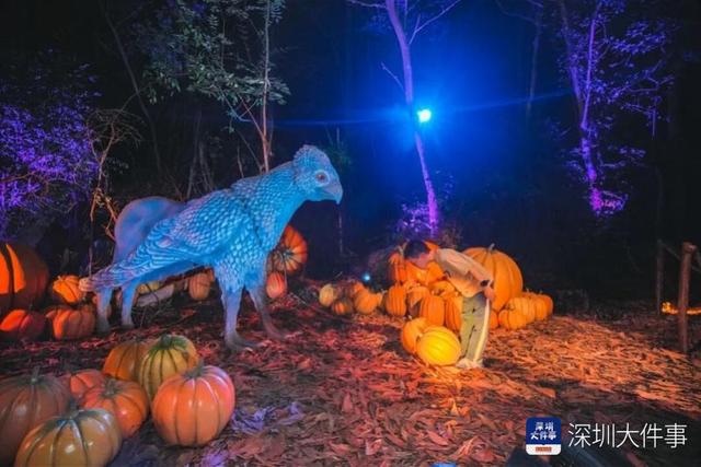 高度还原魔法禁林！“哈利·波特：禁忌森林体验”正式开放