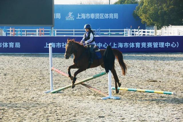 域见上海·域见奉贤｜马年遛娃好去处！奉贤这家马术俱乐部，能骑马、DIY马蹄铁……还藏着冠军马