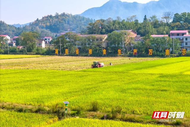 双峰有多高 | 我们奔县吧·双峰县篇