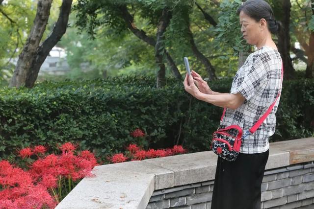 太美了！错过了等一年！