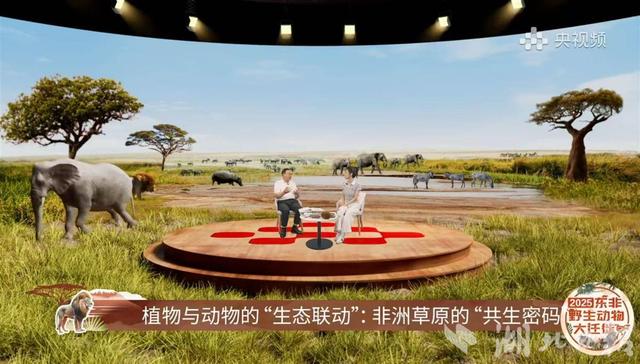 武汉专家参与东非草原年度动物迁徙“大片”