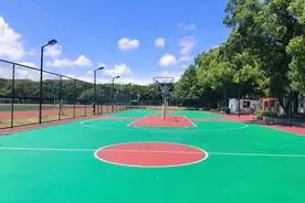 春节期间，金山区体育场馆开放情况→图片