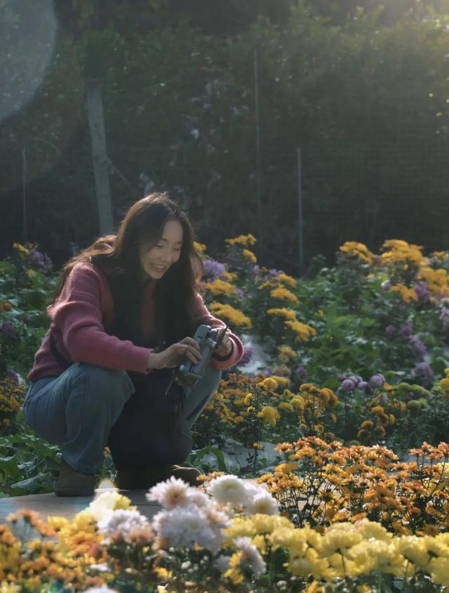 冬日限定！金堂这片花海，太美了！