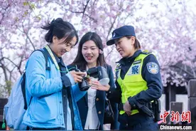 繁花报春！上海“最长花期”樱花节“绽放”在即图片