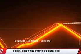 渤海股份：股票交易连续2个交易日跌幅偏离值累计超20%视频封面
