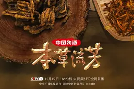 《本草流芳》：黄连之苦如何抚慰百味人生图片