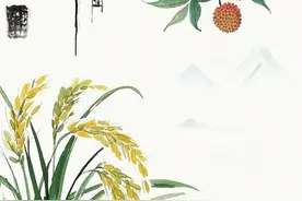 小满丨这段时间常吃9种食物，强身健体防疾病图片