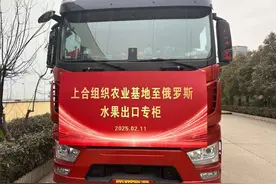 杨凌​260吨猕猴桃出口俄罗斯和中亚图片