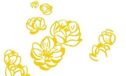 共赏圆月，喜迎国庆，双节相约净月潭！