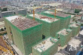 奋战投资年，横沥这个“孵化器”加速建设图片