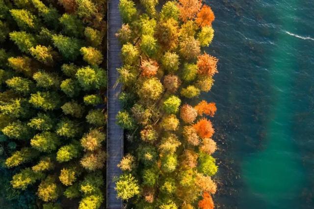 超美超出片！荆门这些宝藏地，附详细打卡攻略